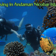 Scuba Diving In Andaman Nicobar Islands