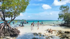 4 Night 5 Days Andaman Travel Package