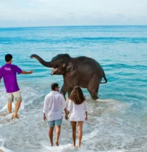 5 Night 6 Days Andaman Nicobar Package