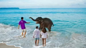 5 Night 6 Days Andaman Nicobar Package