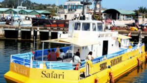 Coral Safari Semi Submarine in Andaman