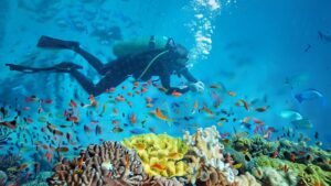 Scuba Diving in Andaman