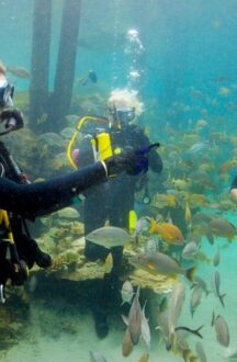 Sea Walking in Andaman