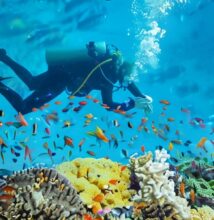 Scuba Diving in Andaman