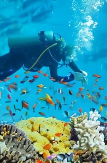 Scuba Diving in Andaman